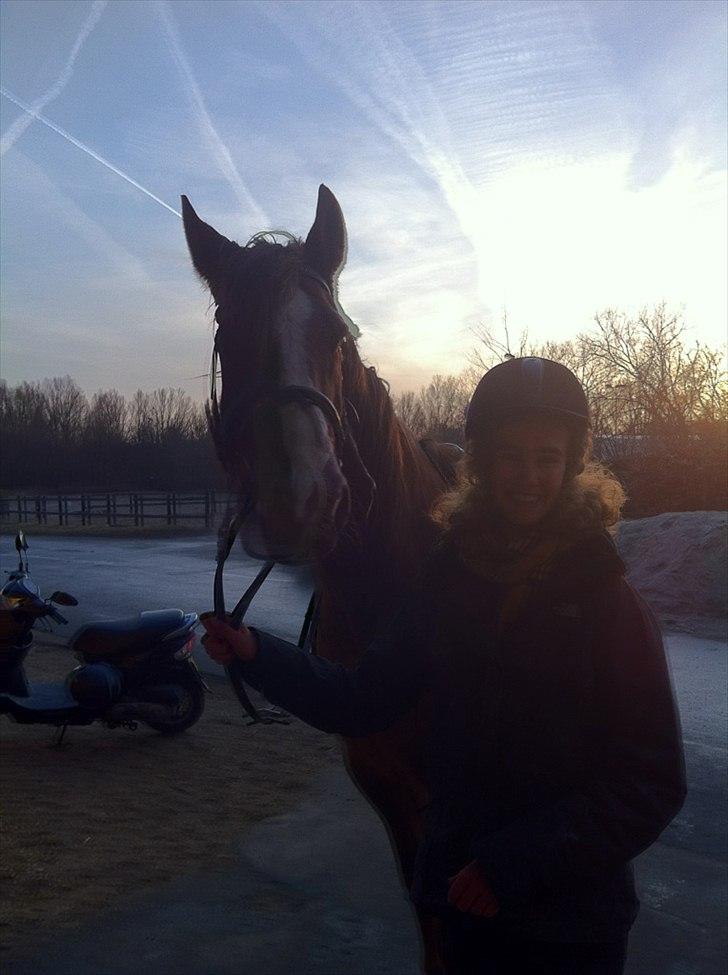 Anden særlig race Picasso - Første gang jeg red Casso i København billede 7