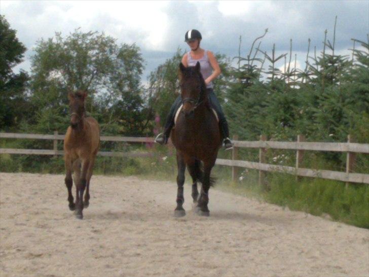 Anden særlig race farina billede 16