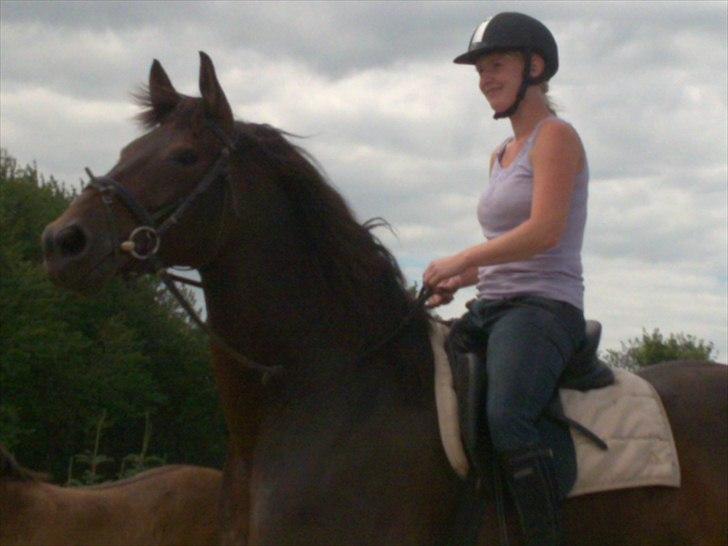 Anden særlig race farina billede 17