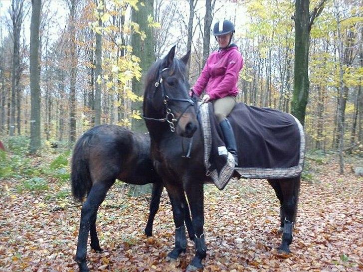 Anden særlig race farina billede 18