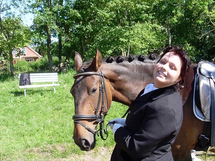 Dansk Varmblod Dalvangs Ramona billede 16