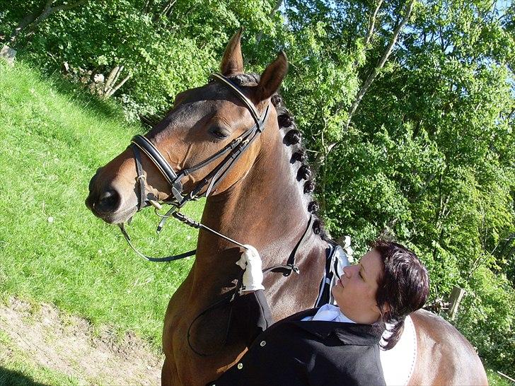 Dansk Varmblod Dalvangs Ramona billede 18