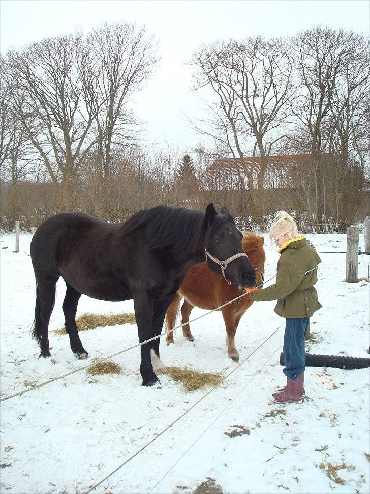Anden særlig race Thalamus - det sidste billed som blev taget af hende billede 1
