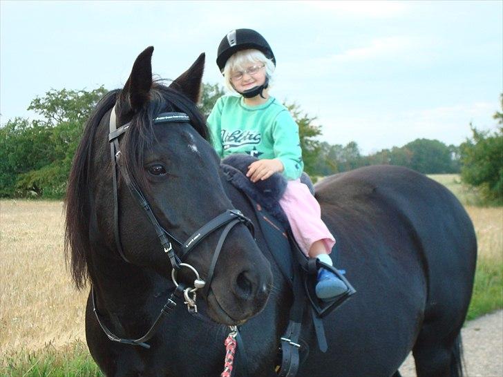 Anden særlig race Thalamus billede 6