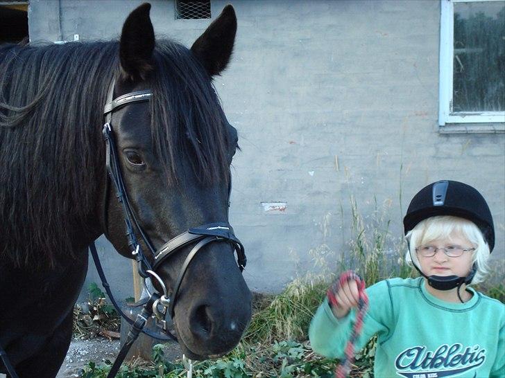 Anden særlig race Thalamus billede 7