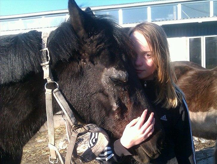 New Forest Kimberly |Prinsesse| billede 7