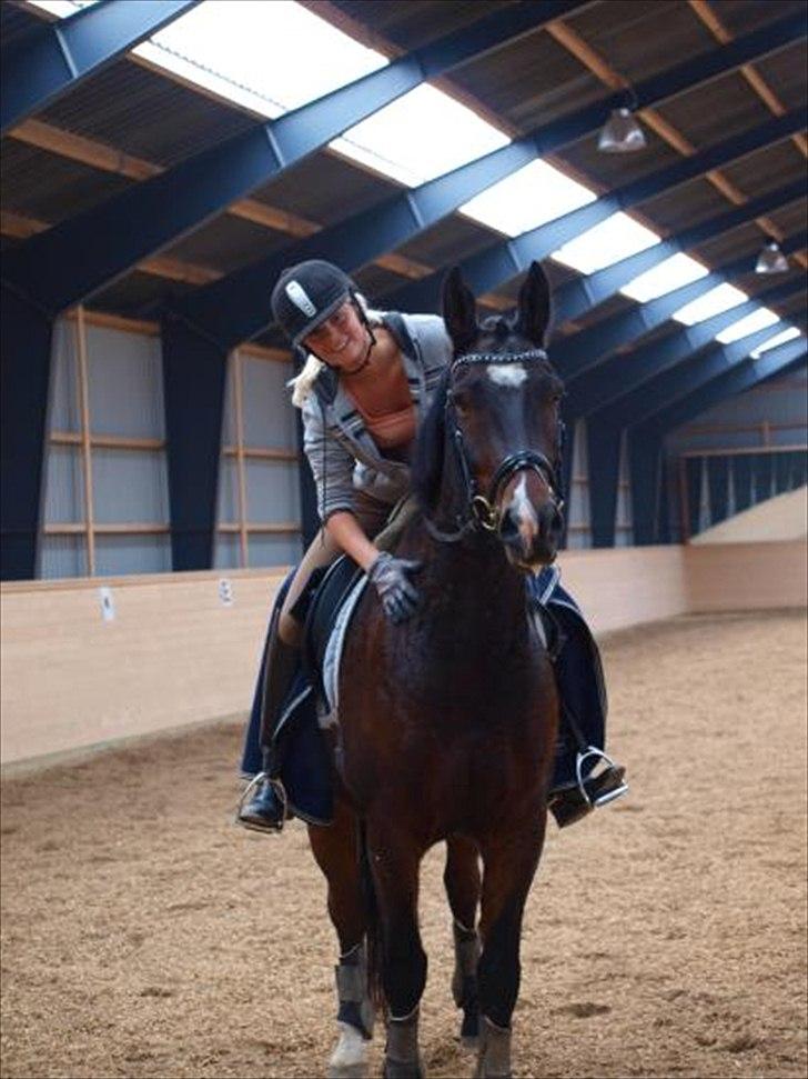 Oldenborg Uzo Horsmark billede 10