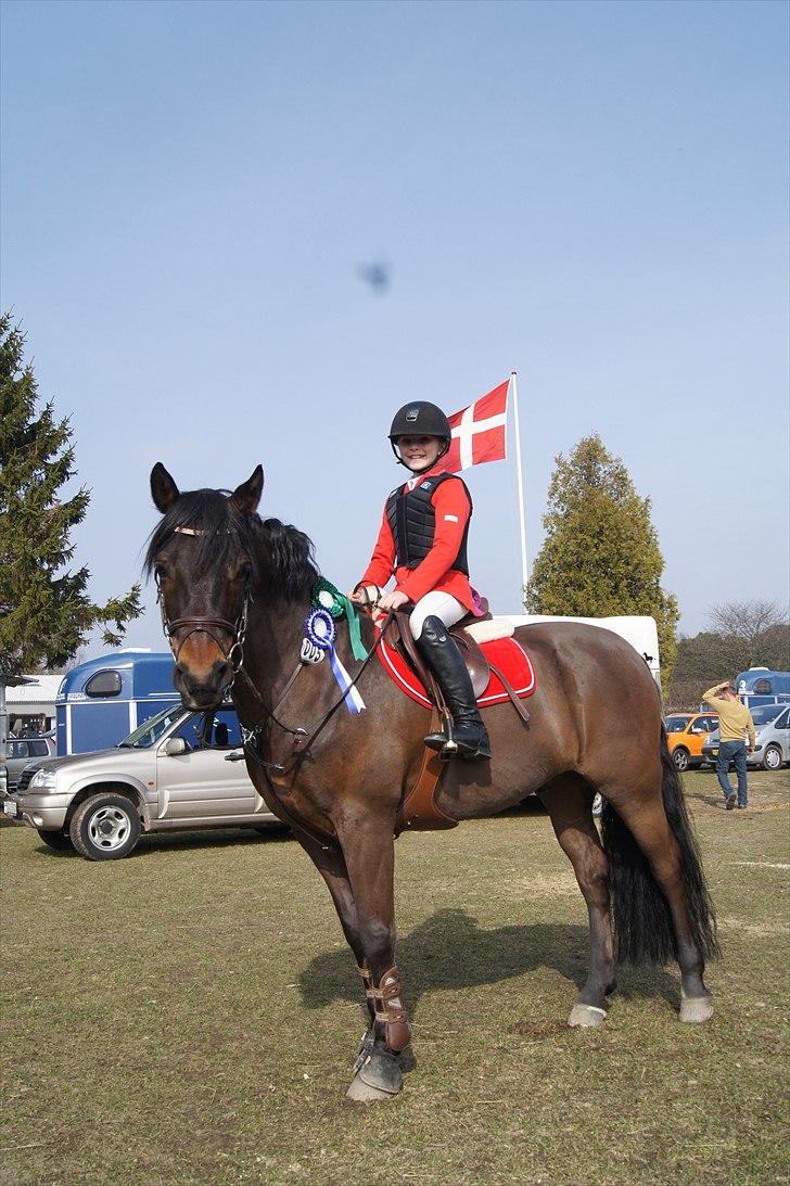 Connemara Hedehusets Ragout*B-Pony* - 2. plads i LB* og 5. plads i LB** på SLR  <3<3<3 billede 10