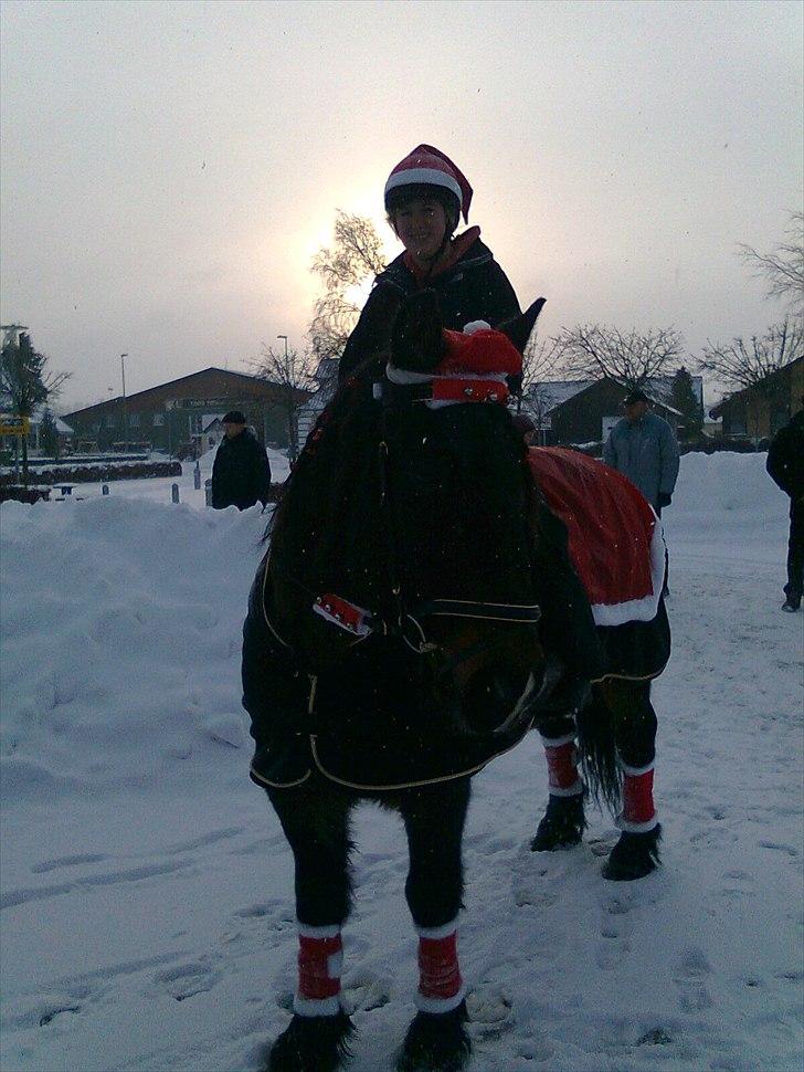 Anden særlig race Lukas *Himmelhest* - Regitze og Lukas til nisseoptog 19 dec. 2010 billede 11
