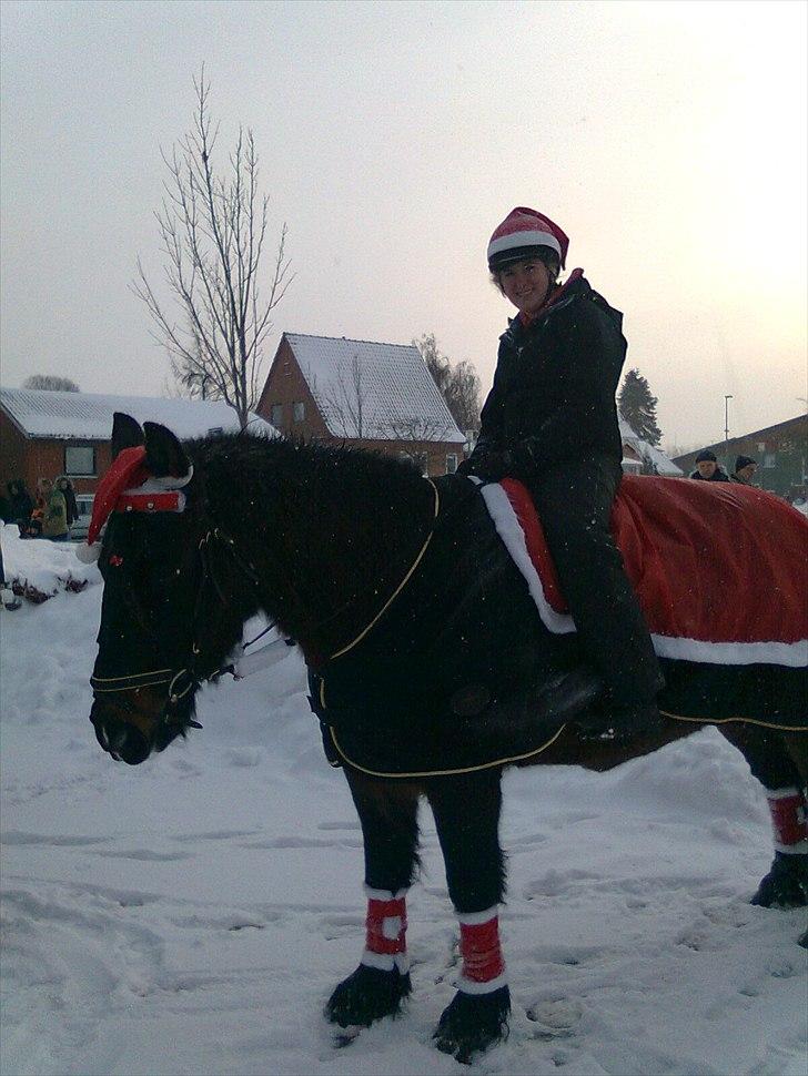 Anden særlig race Lukas *Himmelhest* - Regitze og Lukas nisseoptog d. 19 dec. 2010 billede 12