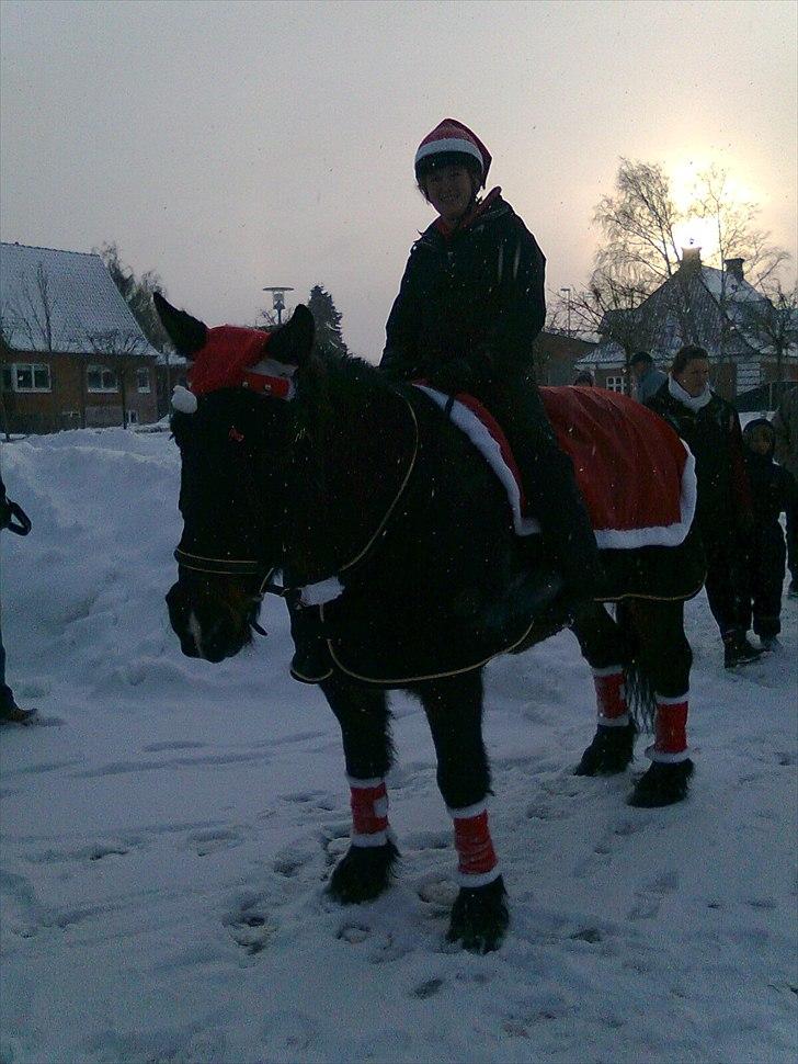 Anden særlig race Lukas *Himmelhest* - Regitze og Lukas nisseoptog d. 19 dec. 2010 billede 13