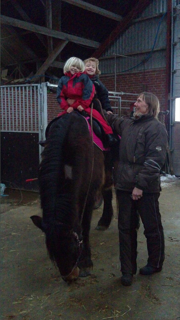 Anden særlig race Lukas *Himmelhest* - Anna og Laura på Lukas den rolige hest :) billede 14