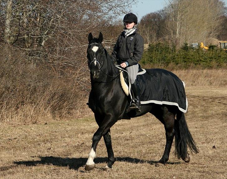 Oldenborg Kirsebærgårdens Mikado - 27. marts 2011 billede 16