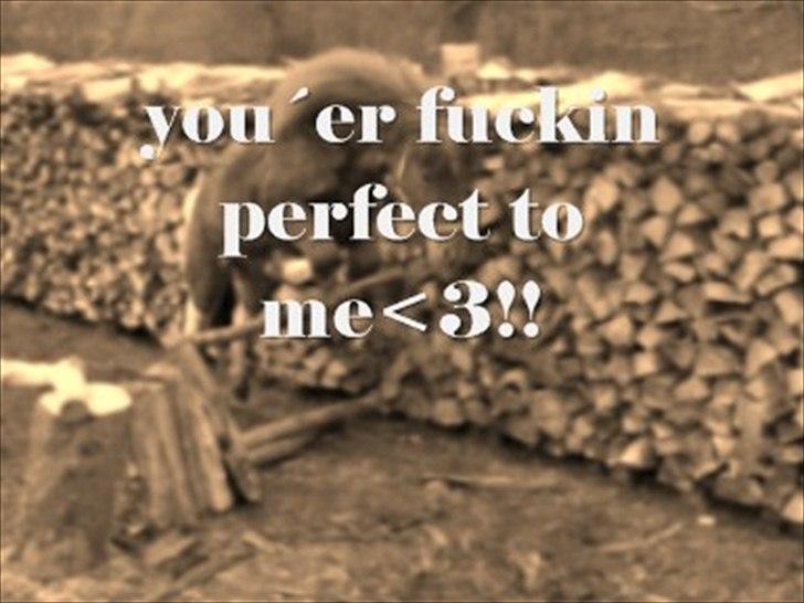 Anden særlig race Anemonne - billedet siger sig selv billede 2