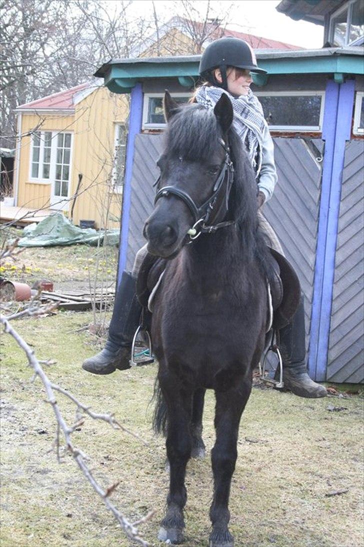 Anden særlig race Lucy - Også i haven Foto: Far billede 5