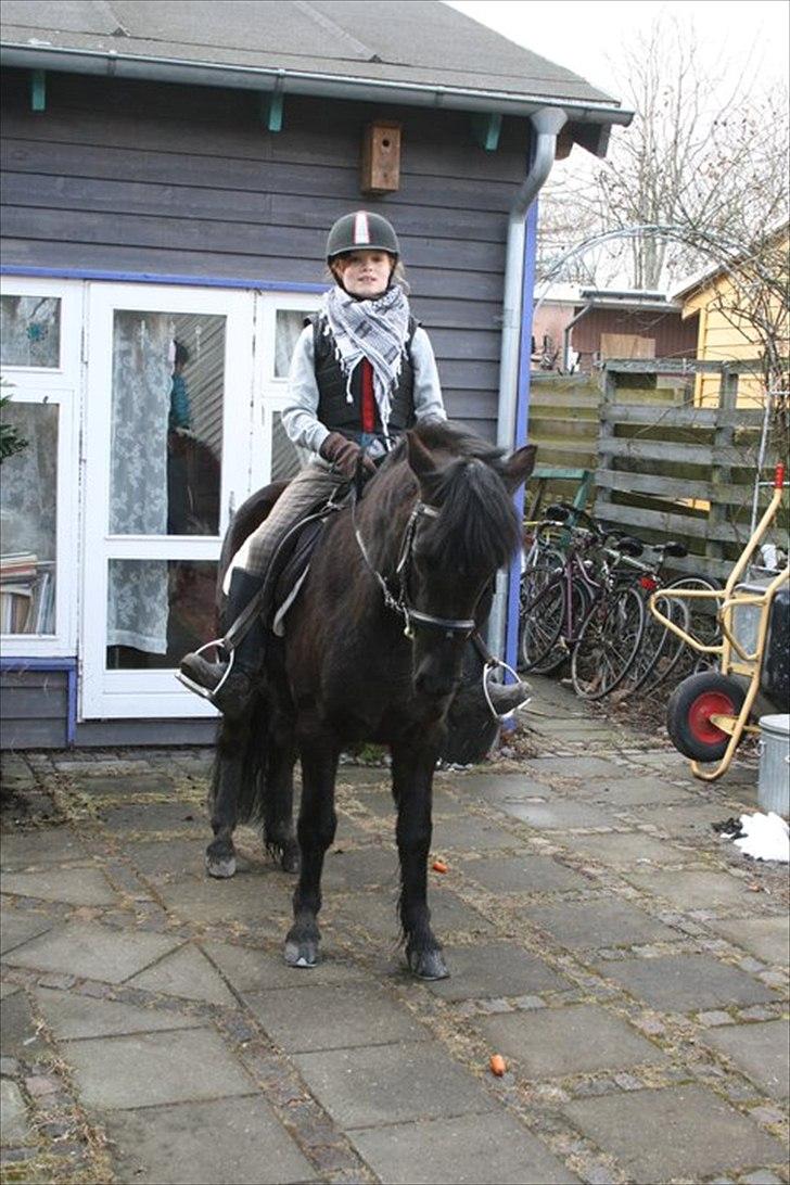 Anden særlig race Lucy - Tilbage trædning i Haven xD Foto: far billede 6