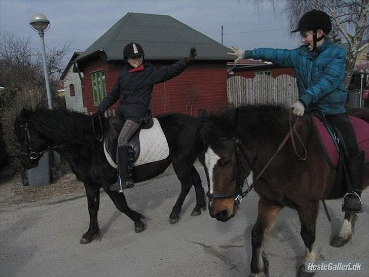 Anden særlig race Lucy - Team E.L.B.A På Tur xD Foto: Bynke billede 8