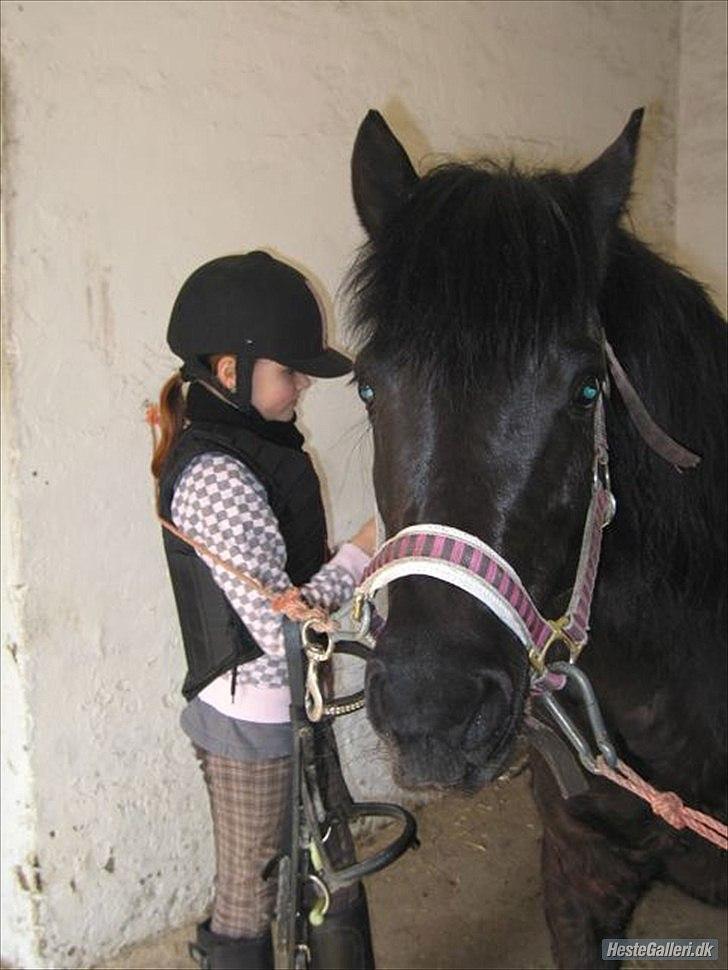 Anden særlig race Lucy - I stalden før/efter ridning? Foto: mor billede 9