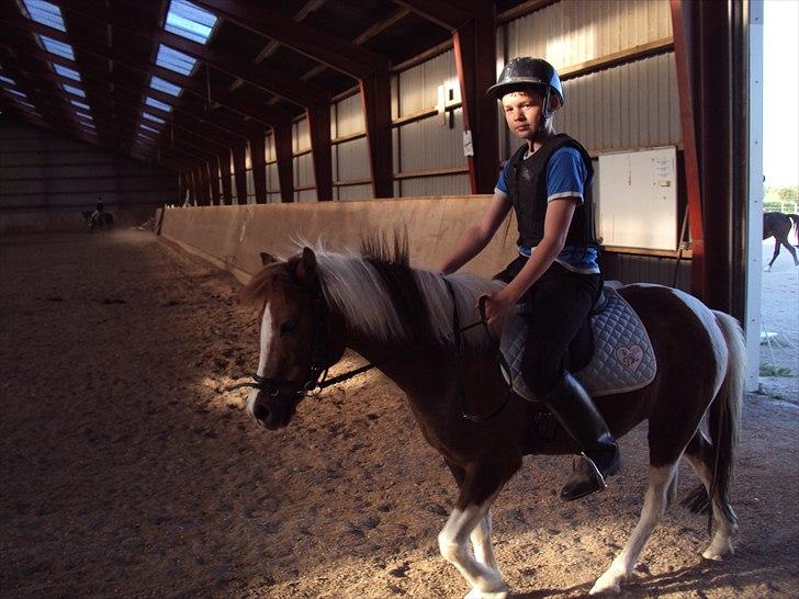 Anden særlig race Sherif  billede 16