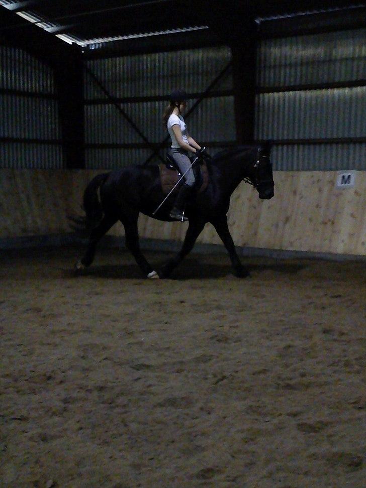 Oldenborg Larissha - hun gik rigtigt fint den dag (; - d. 19/3 - 2011. billede 7