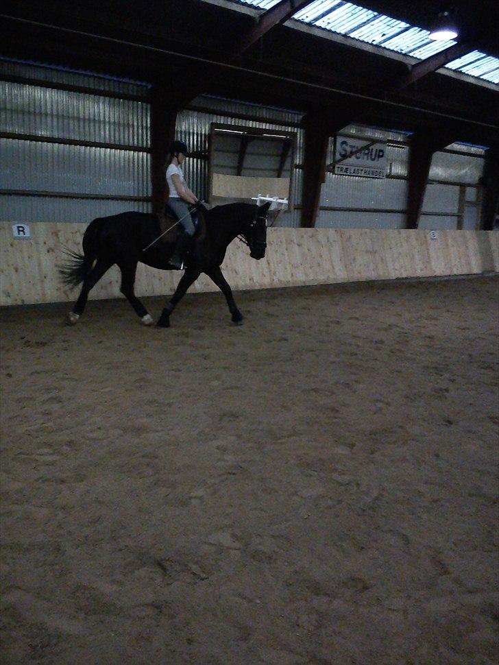 Oldenborg Larissha - D. 19/3 - 2011. billede 8