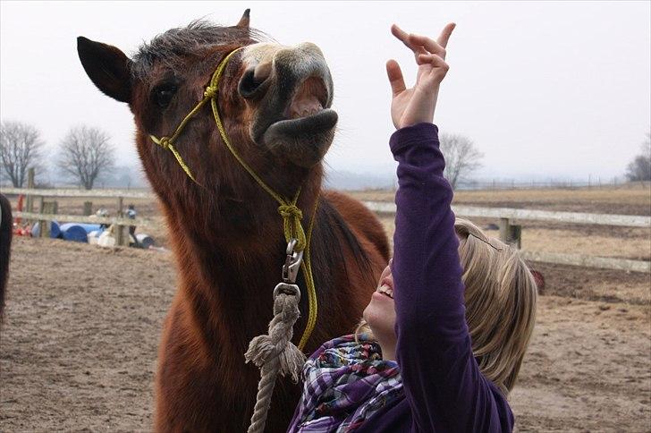 Anden særlig race Sheran - Det er som en drøm at være sammen med dig! <3 Foto: Bea billede 12