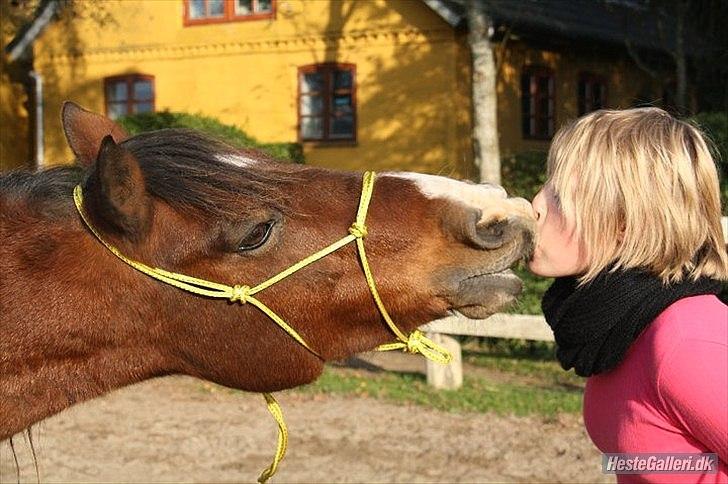 Anden særlig race Sheran - Mys, mys *; Foto: Cille billede 13