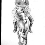 Islænder min gammle hest :(