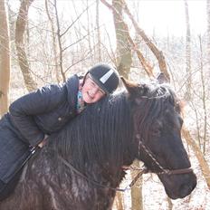 Anden særlig race Sonny 