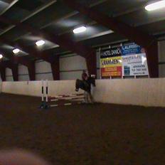 Anden særlig race Toftegårdens Kimbo