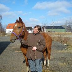Anden særlig race OFELIA " Himmelhest"