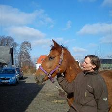 Anden særlig race OFELIA " Himmelhest"
