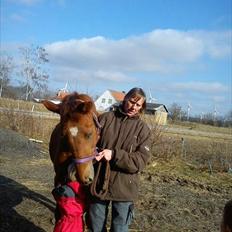 Anden særlig race OFELIA " Himmelhest"