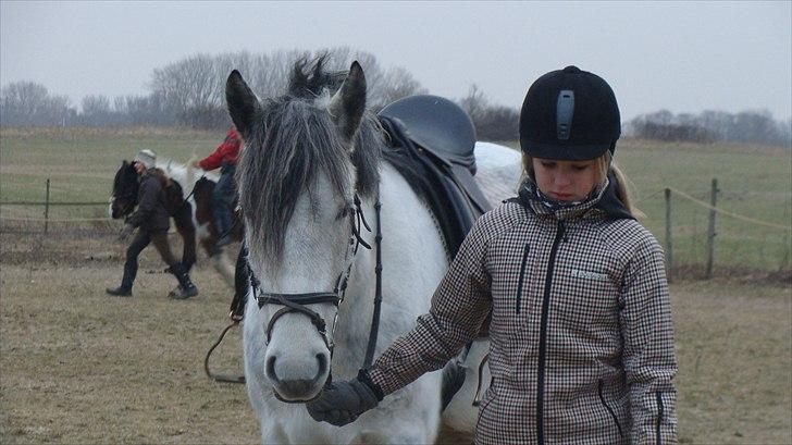 Anden særlig race Mandy Solgt i; - Foto Rikke(: billede 8