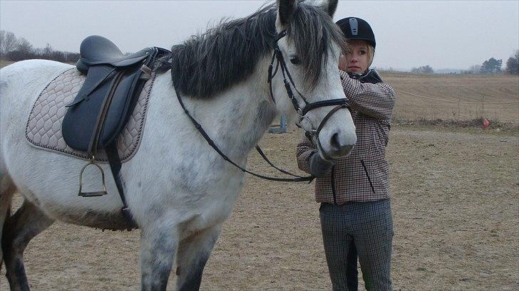 Anden særlig race Mandy Solgt i; - Foto Rikke(: billede 9