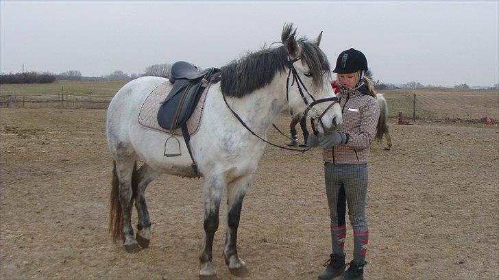 Anden særlig race Mandy Solgt i; - Foto Rikke(: billede 10