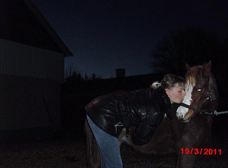 Welsh Partbred (Sec F) Benborgs Kira - Mors pige:o) April 2011 billede 8