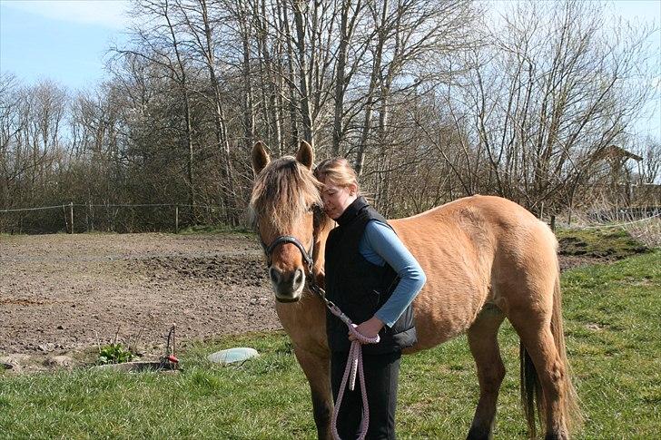 Anden særlig race Flicka *Hvil i fred* - Den dag jeg fik Flicka. i 2005 ... billede 2