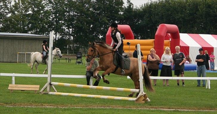 Anden særlig race Flicka *Hvil i fred* billede 6