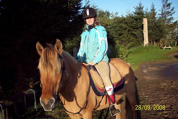 Anden særlig race Flicka *Hvil i fred* billede 8