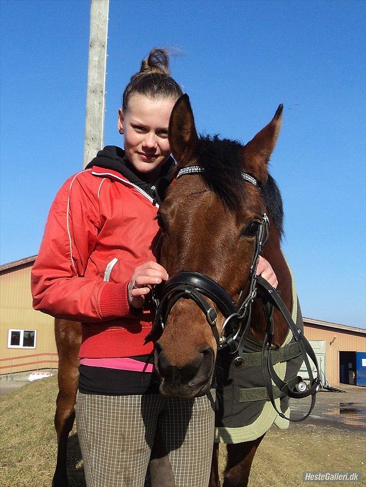 Arabisk fuldblod (OX) A/G´S Perfect Boye OX - hygge billeder med ponyen. billede 4