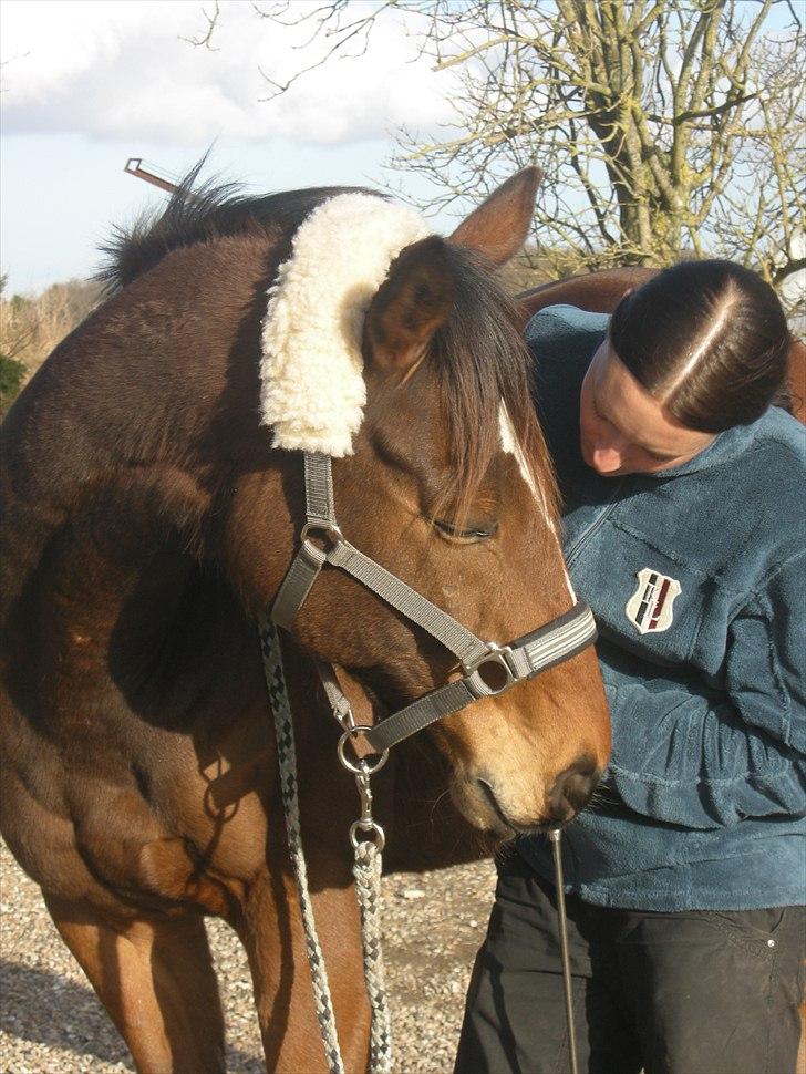 Fuldblod (XX) Perfectionist *R.I.P* - Mor her fortæller hemmeligheder *gg* billede 11