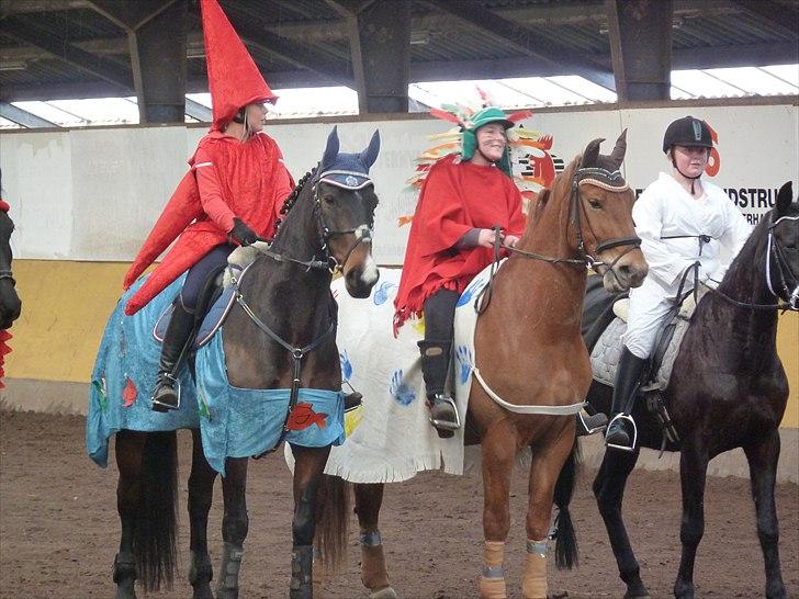 Oldenborg Gunnihus Nino - til fastalavn forkældt som søstjerne :D  billede 16