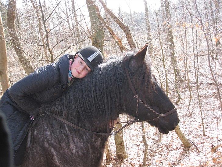 Anden særlig race Sonny  - Velkommen til sonnys og mig profil:) her er vi i skoven !:) billede 1