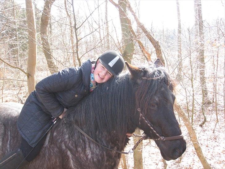 Anden særlig race Sonny  - you always make me laugh billede 2