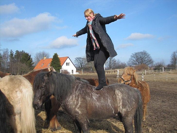 Anden særlig race Sonny  - tillid, kærlighed og stolthed!:)  billede 5