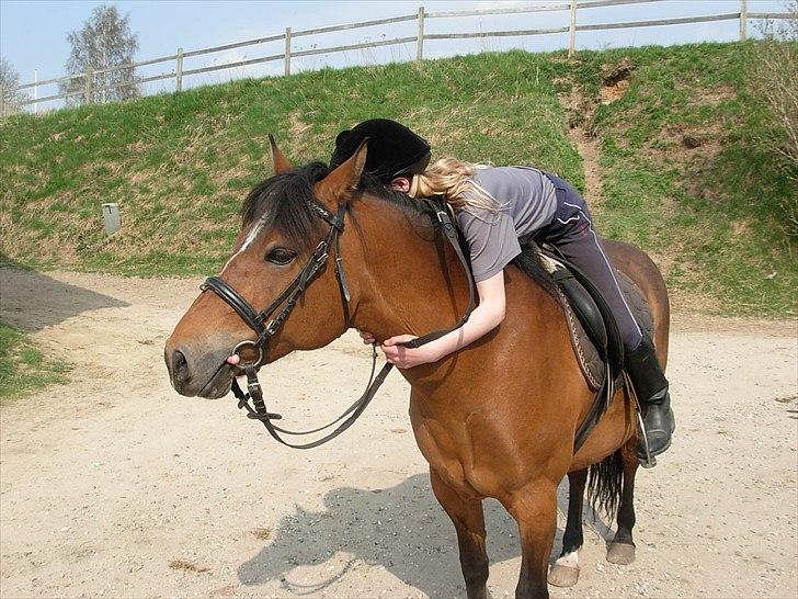 New Forest Cindy |har redet | solgt - Afsked :o( <3 - 21. apr. 2011. Tak fordi I kiggede med hos os.. Håber I nød det.. Læg gerne en kommentar og en bedømmelse, inden du går.. billede 20