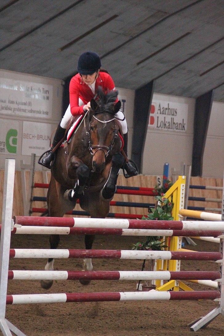 Holstener Capone billede 15