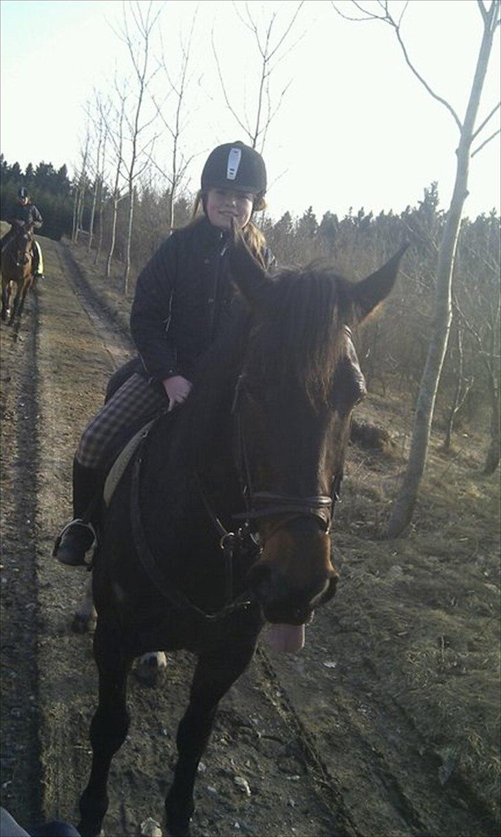 Anden særlig race Ronja - EEEELLLSKer aT RÆKKE TUNGE AF FOTOGRAFEN 
fOTO JANNIE billede 17