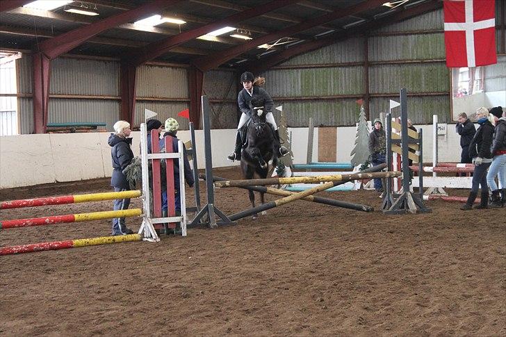 Hollandsk Sportspony Bjirmens Hylke SPH 192 ( R.I.P) billede 13